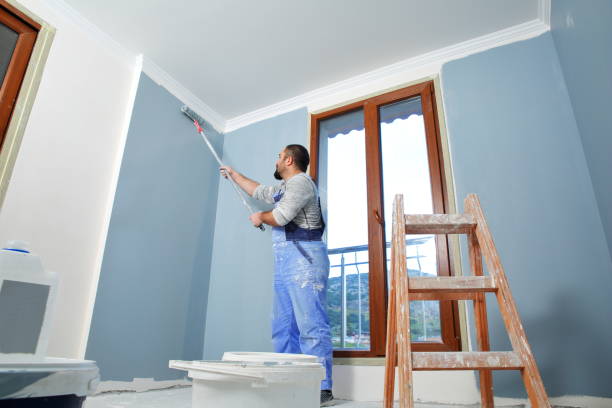 Best Mold Prevention Services  in Litchfield Park, AZ