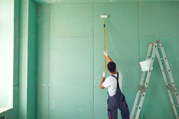 Best Mold Documentation for Insurance Claims  in Litchfield Park, AZ