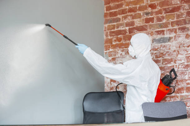 Best Comprehensive Air Testing for Mold Contaminants  in Litchfield Park, AZ