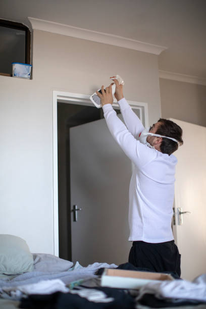 Best Attic Mold Removal  in Litchfield Park, AZ