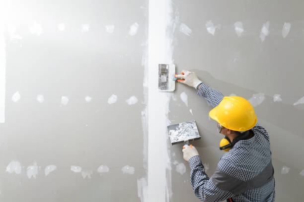 Best Mold Prevention Services  in Litchfield Park, AZ