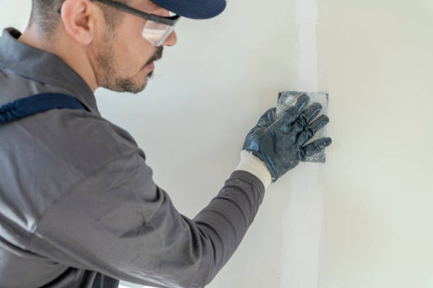 Best Residential Mold Inspection & Testing  in Litchfield Park, AZ