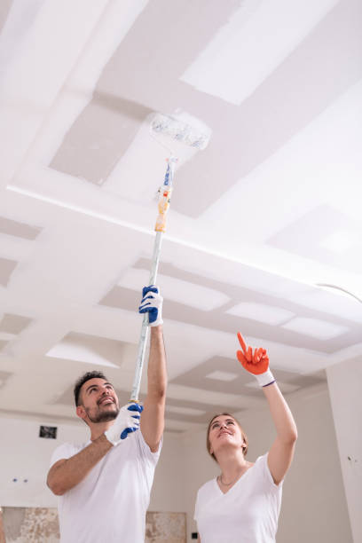 Trusted Litchfield Park, AZ Mold Removal Experts