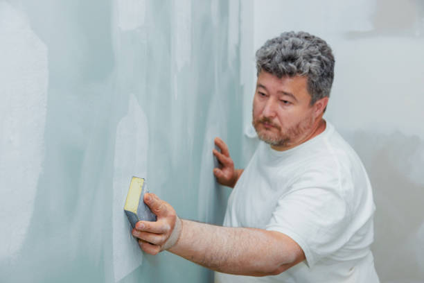 Best Real Estate Mold Inspection  in Litchfield Park, AZ