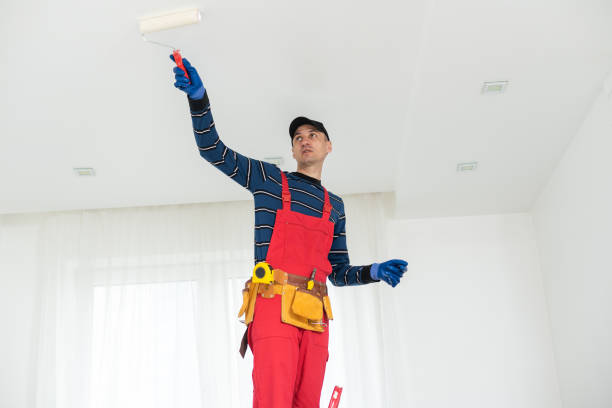 Best Biohazard Mold Removal  in Litchfield Park, AZ