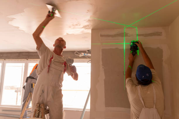 Best Mold Odor Removal Services  in Litchfield Park, AZ