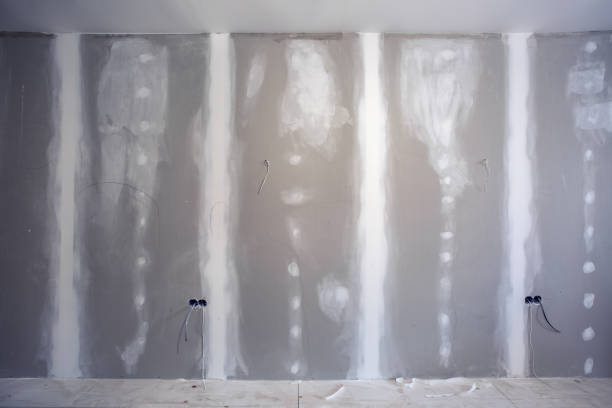 Best Dehumidification Services  in Litchfield Park, AZ